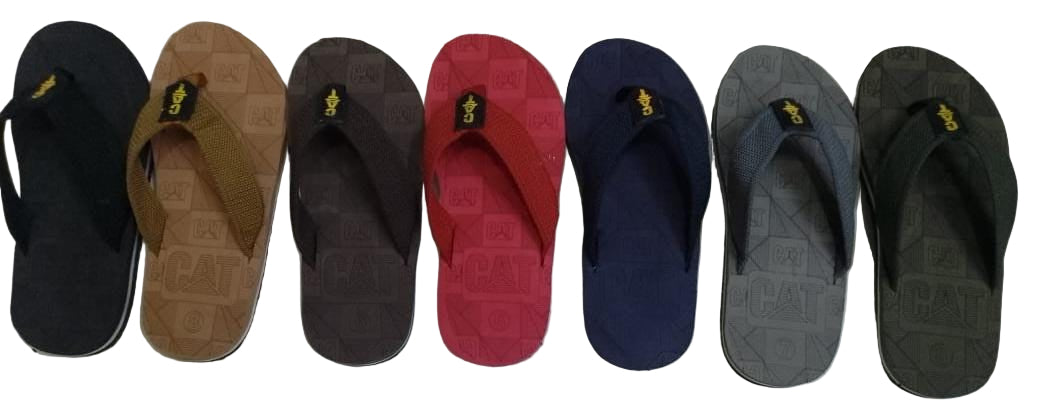 FlipFlop Slipper